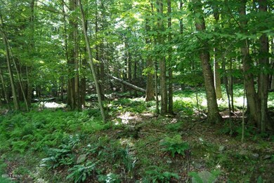 4 Sundew Rd, Roaring Brook Township, PA 18436 - photo 3