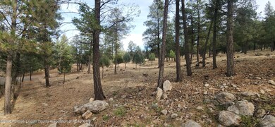 301 Excalibur Rd, Ruidoso, NM 88345 - photo 4