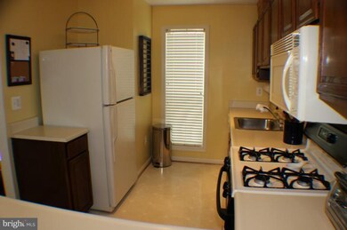 10092 Oakton Terrace Rd, Oakton, VA 22124 - photo 2