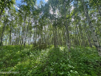 3597 S Dawn Lake Dr, Wasilla, AK 99654 - photo 5