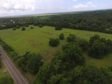 lot 3 County Road 799 SW, Brazoria, TX 77422 - photo 4