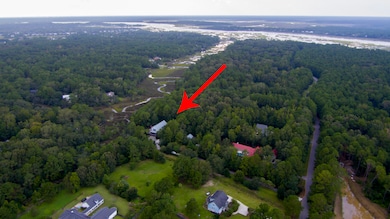 683 Faulkner Dr, Mount Pleasant, SC 29466 - photo 6