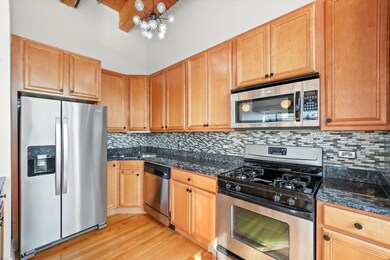 1610 S Halsted St unit 504, Chicago, IL 60608 - photo 5