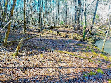 00 Woodland Ln, Dahlonega, GA 30533 - photo 5