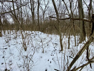 0 N Summerhill Dr unit MBR22076047, Niles Township, IN 47320 - photo 7