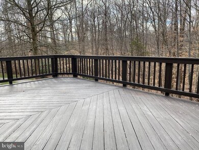 9093 Golden Sunset Ln, Springfield, VA 22153 - photo 7