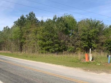 TBD McNeil Chapel Rd, Loris, SC 29569 - photo 6