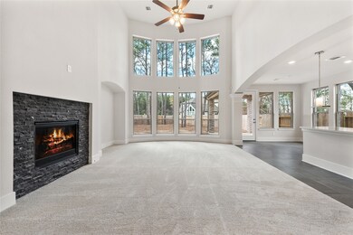 15003 Berry Brook Dr, Conroe, TX 77302 - photo 4