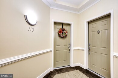 2115 Ganton Green unit 110, Woodstock, MD 21163 - photo 4