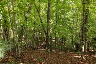 Lot 158 Carriage House Trail, McGrady, NC 28649 - photo 7