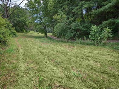 0000 Jones Rd, Leicester, NC 28748 - photo 3