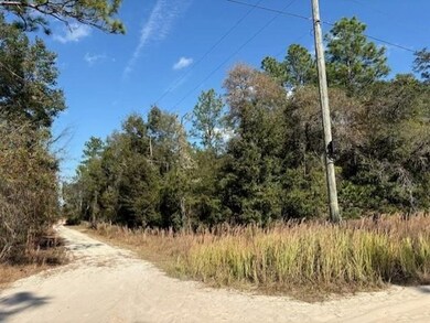 000 NE 78th Ln, Bronson, FL 32621 - photo 4