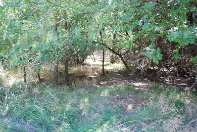 1514 Deerwood Ct, Whitney, TX 76692 - photo 3