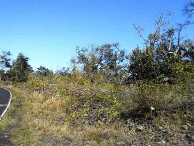 0 Paradise Pkwy unit 261478, Ocean View, HI 96737 - photo 2