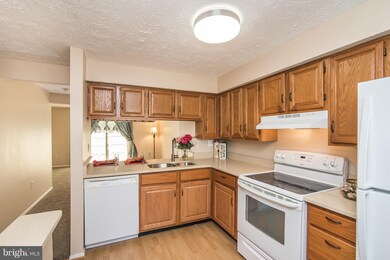 5994 Rowanberry Dr, Elkridge, MD 21075 - photo 4