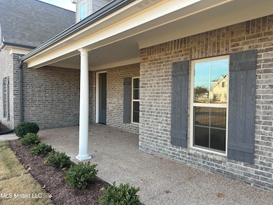 705 Lucas Ln, Hernando, MS 38632 - photo 6