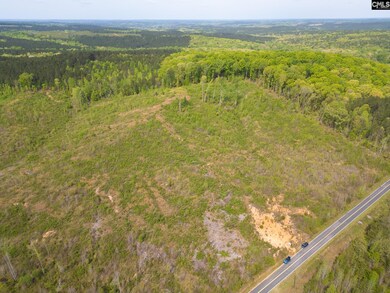 TBD/40 Cunningham Quarters Rd, Heath Springs, SC 29058 - photo 4