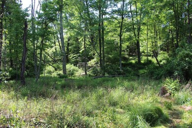 0 Easter Ridge Ln unit LotWP007 23743103, Gainesboro, VA 22603 - photo 5