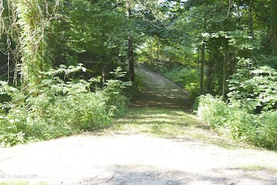 Driveway View from street