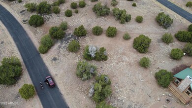 1927 Creekside Cir unit 92, Show Low, AZ 85901 - photo 4