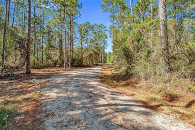 11010 Coleman Ln, Elberta, AL 36530 - photo 3