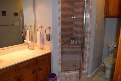 341 Diana Dr unit Lot 411, Alamo, TX 78516 - photo 3