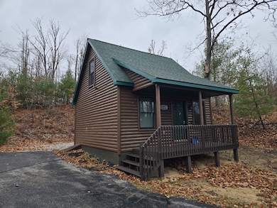 2320 Cabin Cove, Gaylord, MI 49735 - photo 2