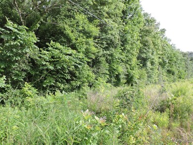 00 Mobile Rd, Greenville, AL 36037 - photo 4