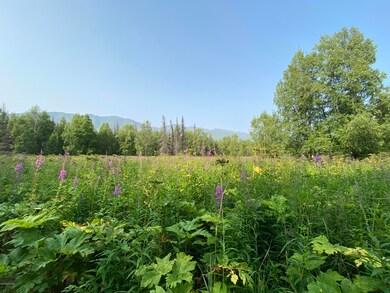 IMG-0506