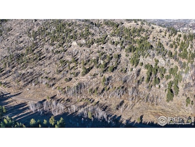 0 Dunraven Glade Rd unit 1047641, Glen Haven, CO 80532 - photo 6