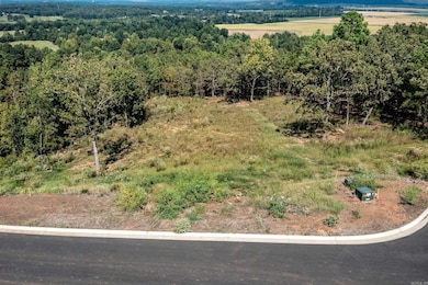 Lot 85 Summit View Ln, Maumelle, AR 72113 - photo 4