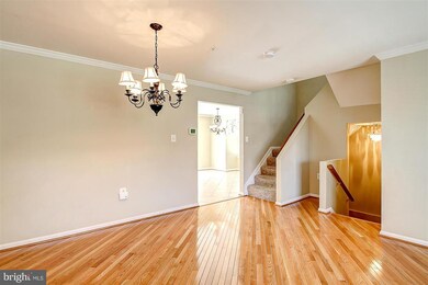 4601 Sherwood Mills Rd, Owings Mills, MD 21117 - photo 7