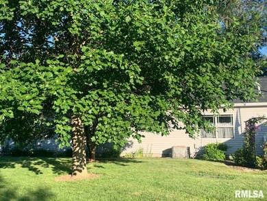 260 E South St, Virginia, IL 62691 - photo 6