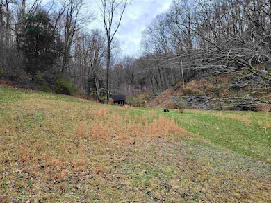 220 Bentley Hollow Rd, Pulaski, VA 24301 - photo 4