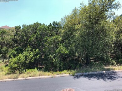 11414 Mountain Climb, Helotes, TX 78023 - photo 3