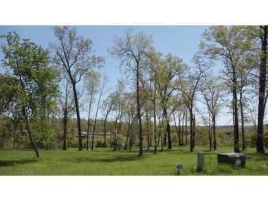 Tbd Diamond View, Kimberling City, MO 65686 - photo 5