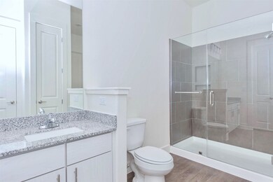 Primary bathroom granite countertop and walk-in sh