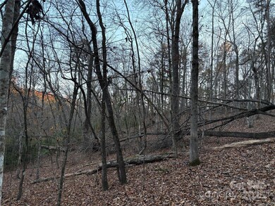 0 Polk County Line Rd unit CAR4322690, Rutherfordton, NC 28139 - photo 5