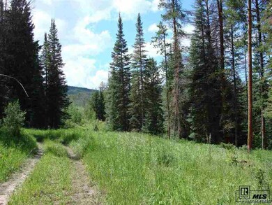 32615 Colt Trail, Oak Creek, CO 80467 - photo 3