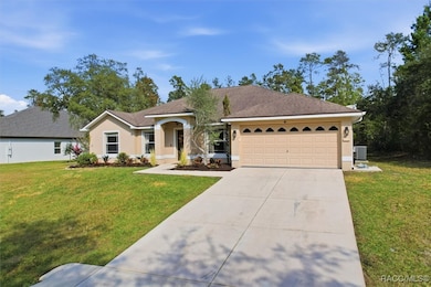 11 Heuchera Ct E, Homosassa, FL 34446 - photo 4