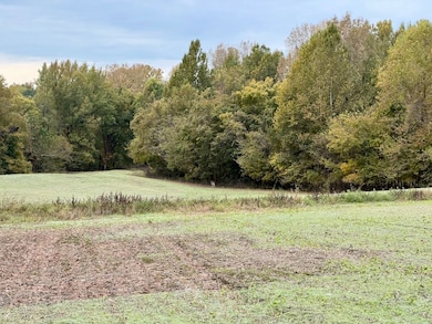 0 Faye Barfield Rd unit LotWP001, Henning, TN 38041 - photo 3