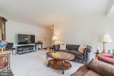 6139 Leesburg Pike unit 607, Baileys Crossroads, VA 22041 - photo 5