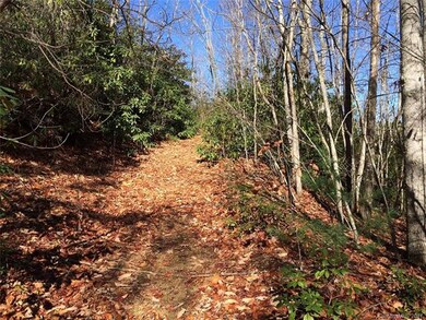 ATV trail going up one of the mountains on the pro