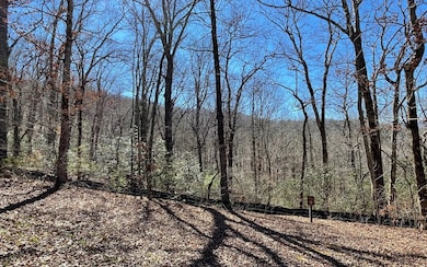 Lot 9 Wolfpen Gap, Hiawassee, GA 30546 - photo 3