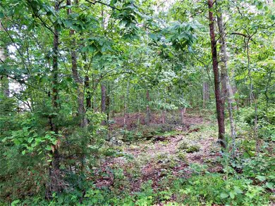 Lot 43 Whippoorwill Ln, 4, Newport, VA 22835 - photo 6