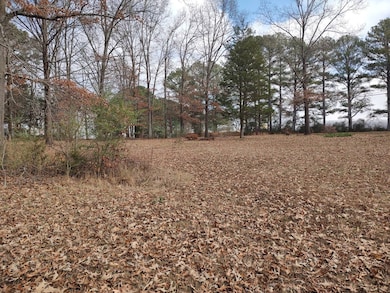 375 India Rd, Paris, TN 38242 - photo 2