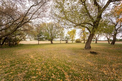 5951 County Road 17 SE, Alexandria, MN 56308 - photo 5
