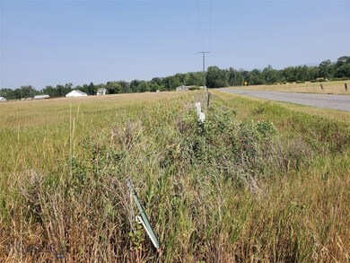 View from the front corner of the 5 acres looking