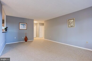 Skyline Plaza unit 116N, Baileys Crossroads, VA 22041 - photo 4