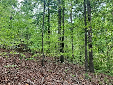 3003 Boulder Dr, Seneca, SC 29678 - photo 3